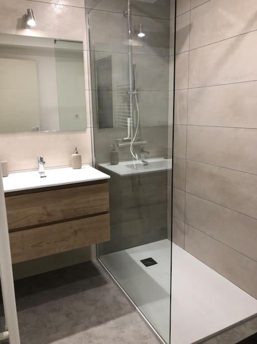 Appartement Moderne & Lumineux 40M2 Centre Luxeuil Exterior photo